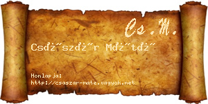 Császár Máté névjegykártya